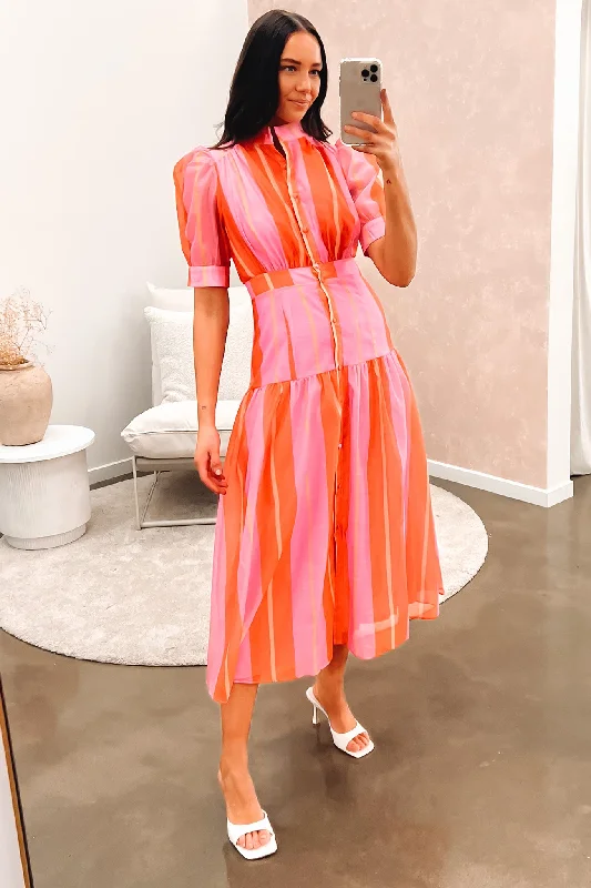 Sasha Midi Dress Pink Multi Elegant Pleated Sleeve Midi Dress
